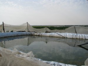 Plastic-lined water reservoir Plastic-lined water reservoir